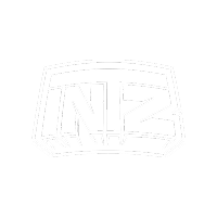 INTZ
