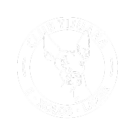 Xolos